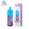Fumot RandM Tornado 9000 Pro Disposable Vape Box of 10